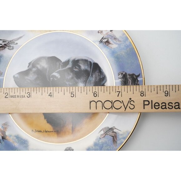 Royal Doulton The Sporting Life by Nigel Hemming Labrador Retriever 8" Plate - Picture 2 of 5